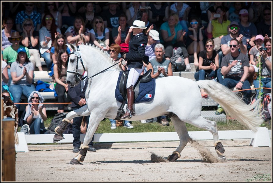 Pferd International 180